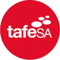 TAFESA Software Development logo - Similar company to Synemi