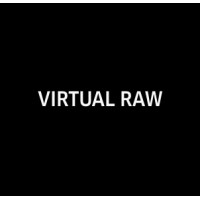 VIRTUAL RAW logo - Similar company to Studio Datt