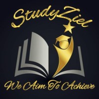 StudyZiel logo - Similar company to Analytics Educator