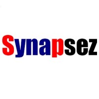 Synapsez Talent & Organization Consulting logo - Similar company to Psynapsez