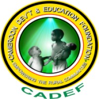 CADEF CAMEROON logo - Similar company to Hyperloop Solutions