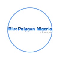 Blue Polygon Nigeria Limited (BPNL) logo - Similar company to The G Store