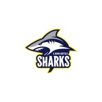 B. Braun Sheffield Sharks logo - Similar company to Amrc Uk