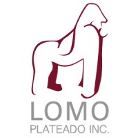 Lomo Plateado.INC logo - Similar company to Ayo
