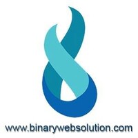 Binary Web Tech Solutions logo - Similar company to A2Z Web Infotech Pvt. Ltd.