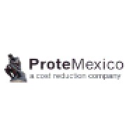 PROTE SA DE CV logo - Similar company to Vistech Quality Plastics