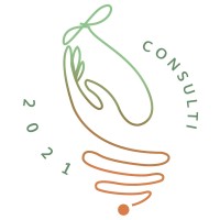 CONSULTI logo - Similar company to Raft Consulting