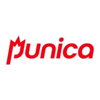 Punica Games logo - Similar company to Alpha Verism