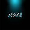 Veluwe gym logo - Similar company to Studio Spreekwoord