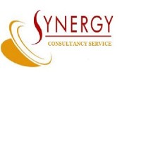 Synergy Consultancy Service logo - Similar company to Sociverse