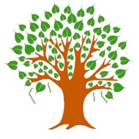 PipalTrips logo - Similar company to Aalami Safar