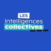 Les Intelligences Collectives logo - Similar company to Podcast Learn & Enjoy 🎤