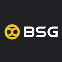 BSG logo - Similar company to Ht Capital 海桐资本