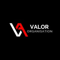 Valor Organisation logo - Similar company to Pineapple Mma