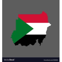 afriNYPE Organization Sudan's Branch logo - Similar company to Sudan Children’S Cancer Organization - Scco