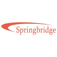 Springbridge Direct LTD logo - Similar company to Onskil