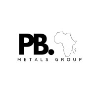Platinum blac. logo - Similar company to Mineral Process Laboratory (Pty) Ltd