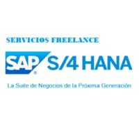 Consultoria SAP Freelance Disponible logo - Similar company to Apsystec - Consultoría Sap Business One