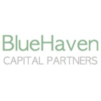BlueHaven Capital Partners Limited logo - Similar company to Aureus Ventures