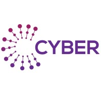 Cyber Strategies Ltd logo - Similar company to Cyber Sharp I.T Limited