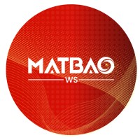 MatBao WS jsc. logo - Similar company to Matbao-Invoice