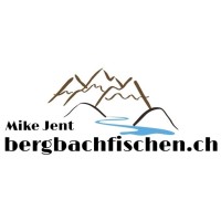 Bergbachfischen.Ch