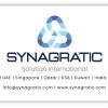Synagratic. logo - Similar company to Dwntechnologies