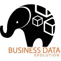 Business Data Evolution logo - Similar company to Advanced Intelligence Solutions, S.C.
