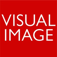 Visual Image logo - Similar company to Grifdigi Limited