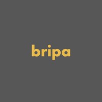 bripa • ბრიპა logo - Similar company to Cryptoethica