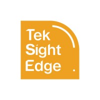 Teksight Edge logo - Similar company to Cmc Connect Llp (Perception Consulting)