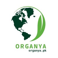 Organya logo - Similar company to 88Mph