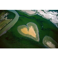 Yann Arthus-Bertrand Photography logo - Similar company to Maxcolor Pro