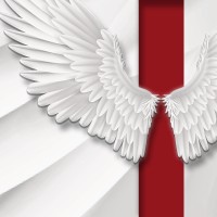 Almighty Wings Productions