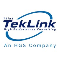 TekLink International LLC logo - Similar company to Techlink, Llc (Acquired By The Execu|Search Group In September 2019)
