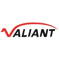 Shandong Valiant Packaging Co., Ltd. logo - Similar company to Makewell Software Solutions