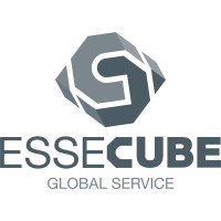 ESSECUBE SRL logo - Similar company to Cem Service