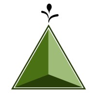 Gemini Solutions Inc. logo - Similar company to Gemini Security Solutions, Inc., A 10Pearls Company