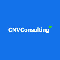 CNV Consulting - M&A, Corporate Finance logo - Similar company to M&A Consulting