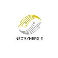 Néo'Synergie logo - Similar company to Santestim