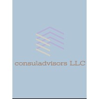CONSULADVISORS logo - Similar company to Terari S.A.S.