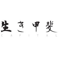 Ikigai Capital logo - Similar company to Identivisuals