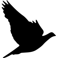 Power in Numbers LLC logo - Similar company to Balance Cfo