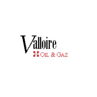 Valloire Oil & Gaz logo - Similar company to Avinim Transaction