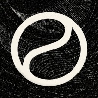 THE OTHER SIDE logo - Similar company to Alter Music