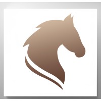 Chapelstone Zoo Construction logo - Similar company to Chapelstone Developments Ltd