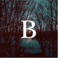 Brittannicus logo - Similar company to Virtual Bharat