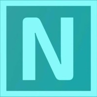 Netcar|RC logo - Similar company to L&M Veículos