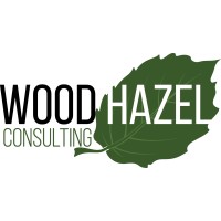 Woodhazel Consulting Ltd logo - Similar company to Global Audit & Compliance Institute