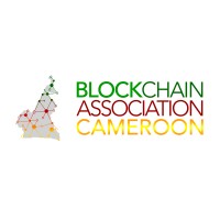 Blockchain Association of Cameroon logo - Similar company to Icorp Training And Consulting